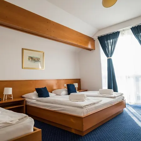 Maribor Inn Hotel فندق